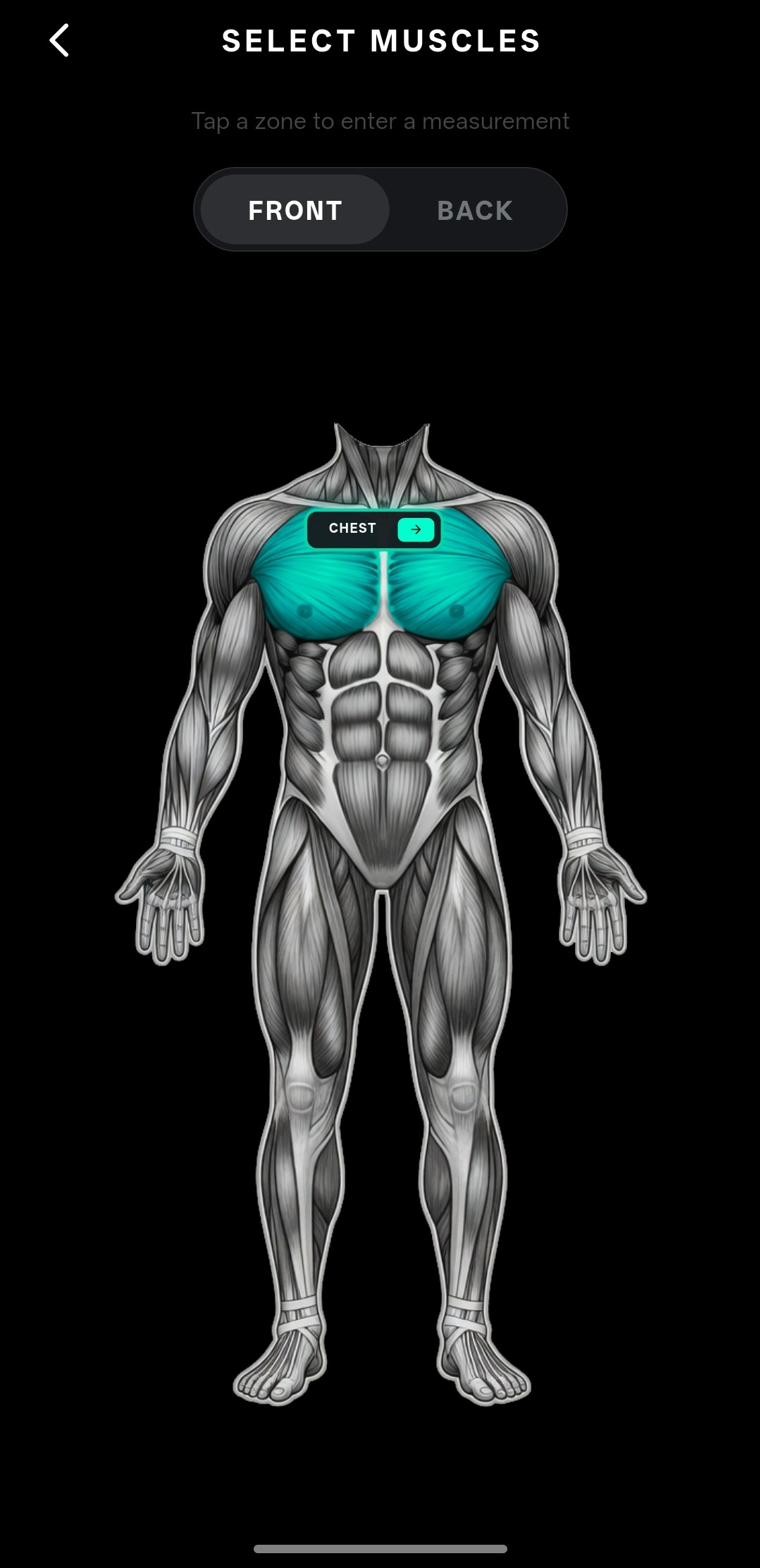 CYBER GYM screenshot